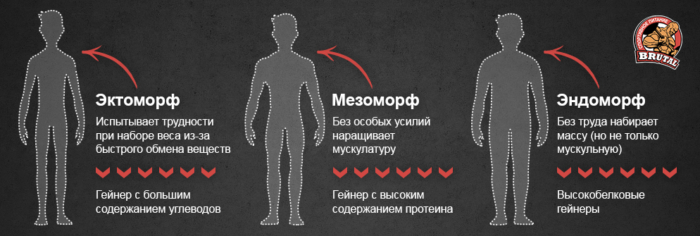 Диета Эктоморфа Для Набора Мышечной Массы