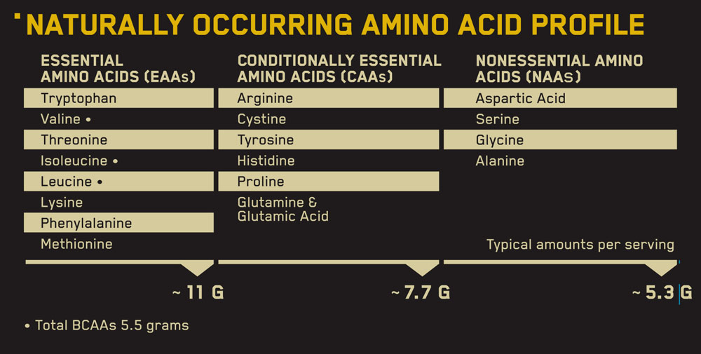 Аминокислотный профиль 100% Whey Protein Natural Аминокислотный профиль 100% Whey Protein Natural