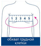 Обхват груди