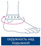 Обхват окружностей над лодыжками