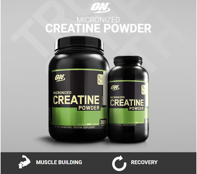 Creatine Powder ON полижительно влияет на рост и восстановление мышц