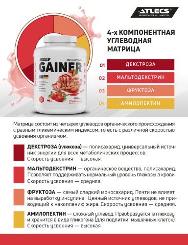 Atlecs Gainer 3632 g,   фото 3