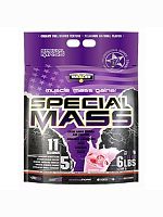 Special Mass Gainer, 2730 g